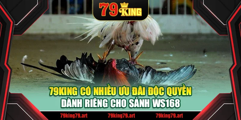 79King có nhiều ưu đãi độc quyền dành riêng cho sảnh WS168