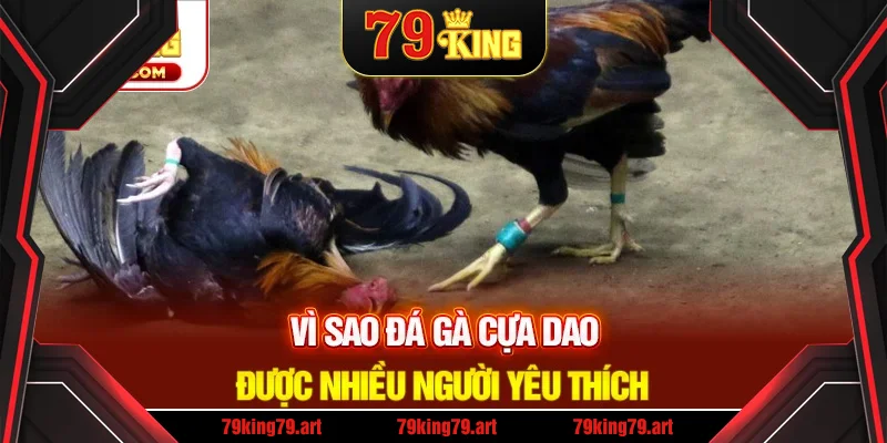 Lý do bộ môn này được nhiều người yêu thích Lý do bộ môn này được nhiều người yêu thích