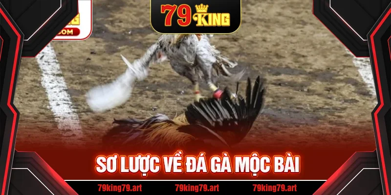 Sơ lược về đá gà mộc bài Sơ lược về đá gà mộc bài