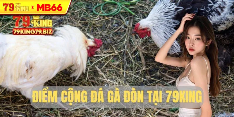 Điểm cộng lớn của đá gà đòn Điểm cộng lớn của đá gà đòn