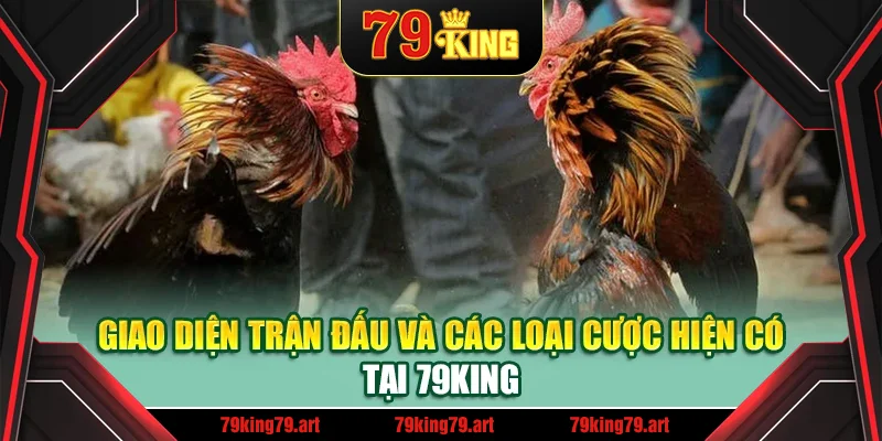 Giao diện trận đấu và các loại cược hiện có tại 79King Giao diện trận đấu và các loại cược hiện có tại 79King