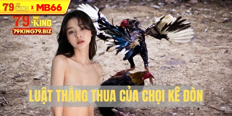 Luật thắng thua cơ bản của chọi kê đòn Luật thắng thua cơ bản của chọi kê đòn