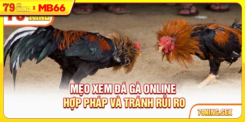 Mẹo xem đá gà online hợp pháp và tránh rủi ro Mẹo xem đá gà online hợp pháp và tránh rủi ro
