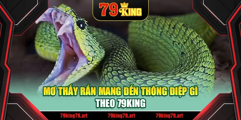 Mơ thấy rắn mang đến thông điệp gì theo 79King Mơ thấy rắn mang đến thông điệp gì theo 79King