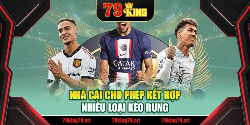 Nhà cái cho phép kết hợp nhiều loại kèo rung Nhà cái cho phép kết hợp nhiều loại kèo rung