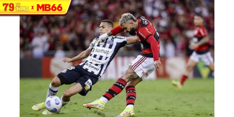 Màn chạm trán khó đoán giữa Santos vs Flamengo Màn chạm trán khó đoán giữa Santos vs Flamengo