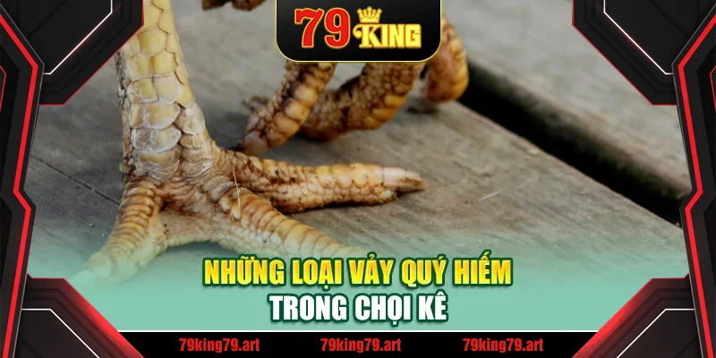Những loại vảy quý hiếm trong chọi kê Những loại vảy quý hiếm trong chọi kê