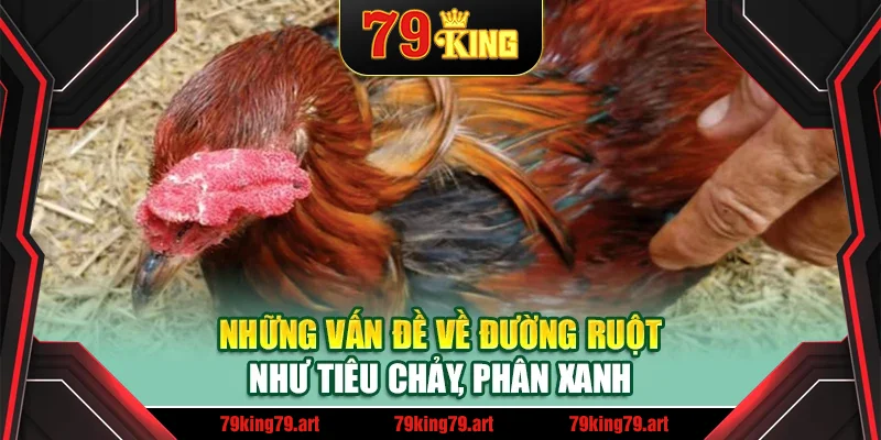 Những vấn đề về đường ruột như tiêu chảy, phân xanh Những vấn đề về đường ruột như tiêu chảy, phân xanh