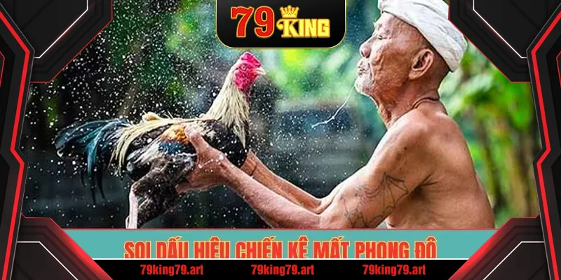 Soi dấu hiệu chiến kê mất phong độ Soi dấu hiệu chiến kê mất phong độ