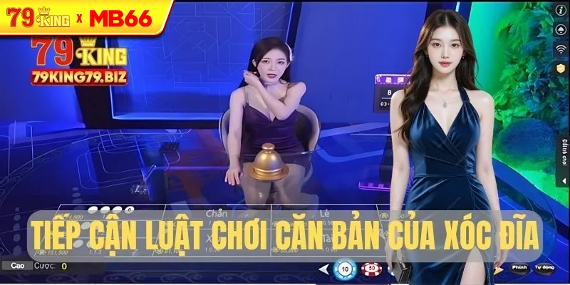 Tiếp cận luật chơi của Xóc Đĩa online Tiếp cận luật chơi của Xóc Đĩa online