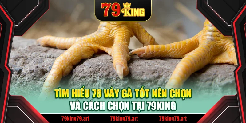 Tìm hiểu 78 vảy gà tốt nên chọi và cách chọn tại 79King Tìm hiểu 78 vảy gà tốt nên chọi và cách chọn tại 79King