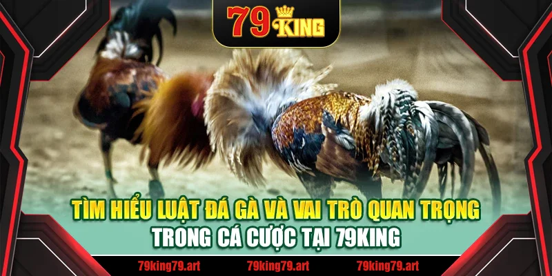 Tìm hiểu luật đá gà và vai trò quan trọng trong cá cược tại 79King Tìm hiểu luật đá gà và vai trò quan trọng trong cá cược tại 79King