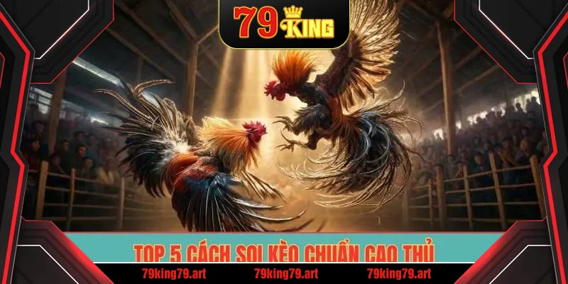Top 5 cách soi kèo chuẩn cao thủ Top 5 cách soi kèo chuẩn cao thủ