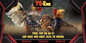 Trực Tiếp Đá Gà 67 – Cập Nhật Mới Nhất 2025 Từ 79KING