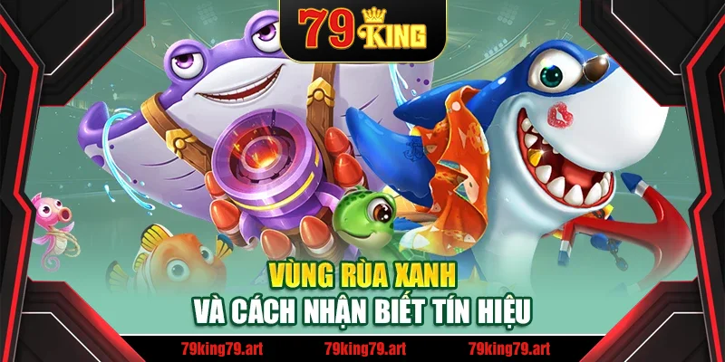 Vùng rùa xanh và cách nhận biết tín hiệu Vùng rùa xanh và cách nhận biết tín hiệu